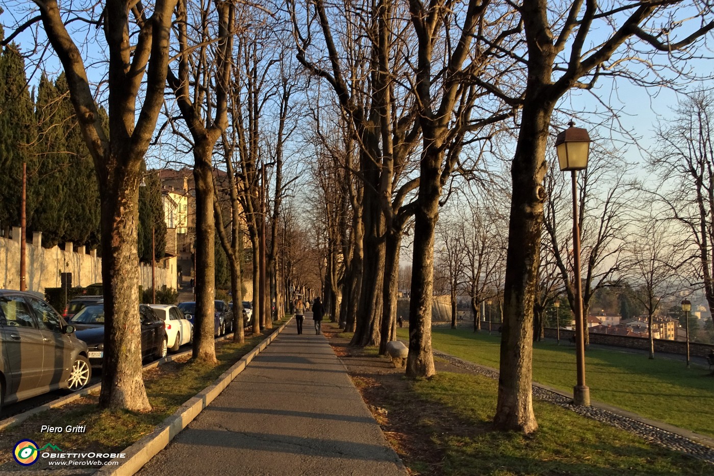 89 Viale delle Mura, ben alberato .JPG